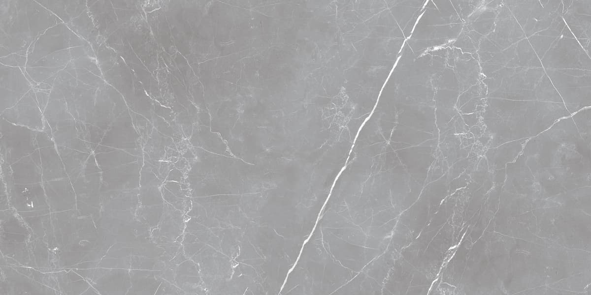 Керамогранит Ocean Ceramic Iran Arion Gray Dark 59.7х119.7 20 мм